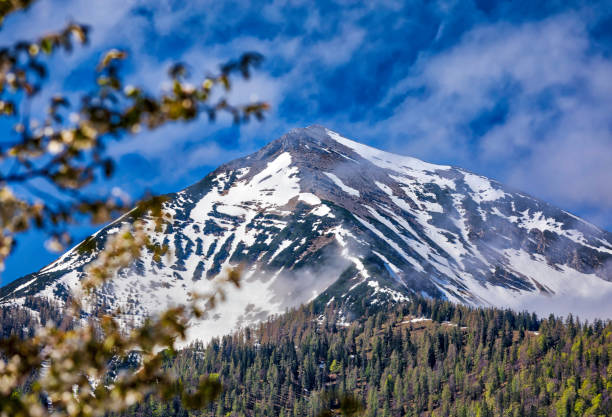 istock panoramic view of the Alp mountains (HDRi) 959202278