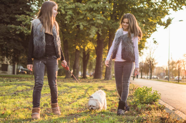 istock New fluffy family member 959202288