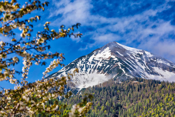 istock panoramic view of the Alp mountains (HDRi) 959202316