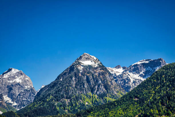 istock panoramic view of the Alp mountains (HDRi) 959202558