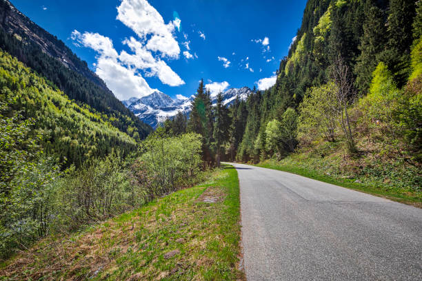 istock panoramic view of the Alp mountains (HDRi) 959205932