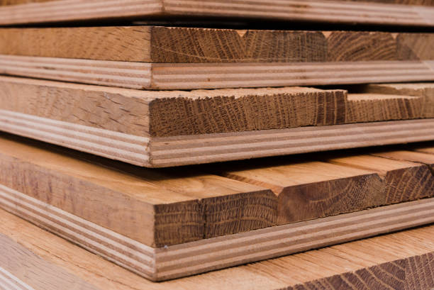 istock Wooden background and texture with different breeds 959206164