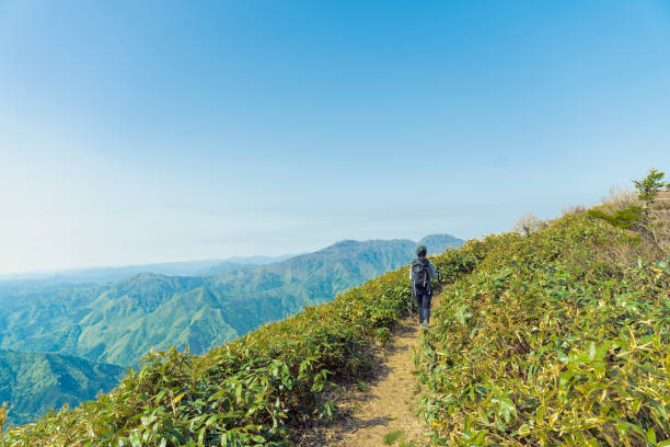 istock Woman hiking in mountain,Japan 959206680