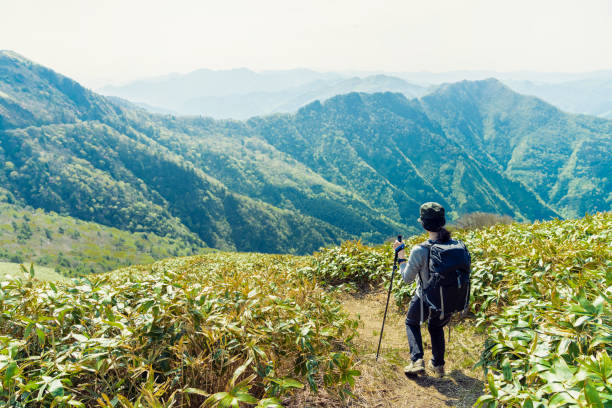 istock Woman hiking in mountain,Japan 959206682