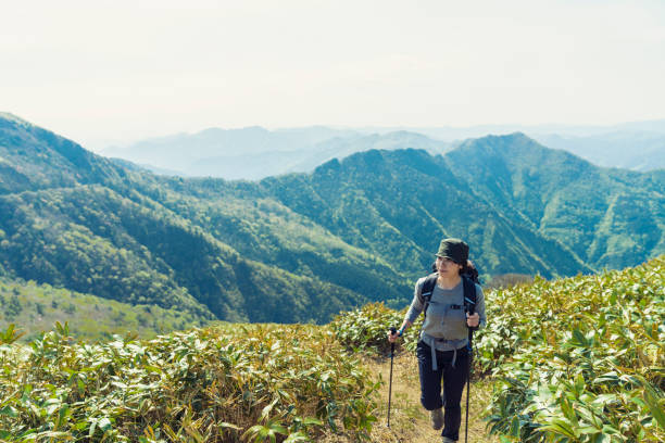 istock Woman hiking in mountain,Japan 959206690