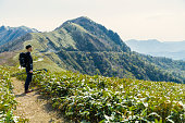 30 代の男性、日本の山でのハイキング