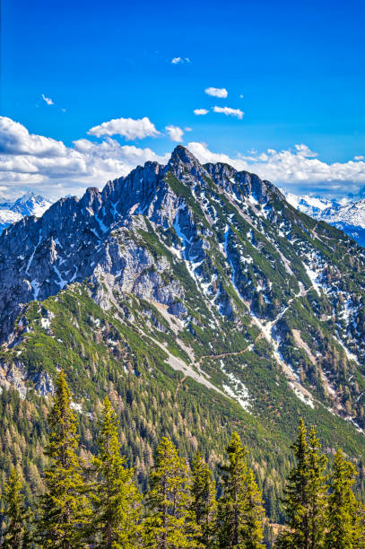 istock panoramic view of the Alp mountains (HDRi) 959212924