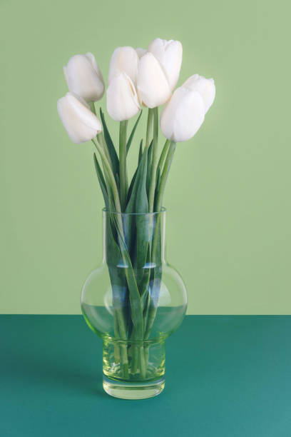istock White tulips in a vase on a green background 959213070