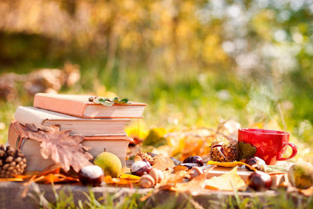 istock Hot cup of tea with autumn leaves 959213192