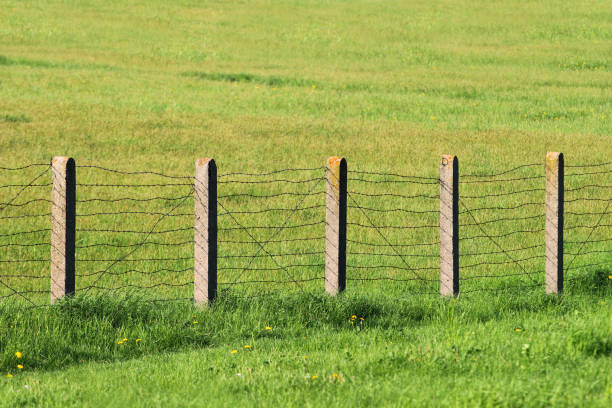 istock Barbed wire fence on green grass 959216744