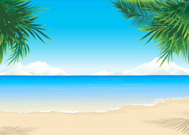 illustrazioni stock, clip art, cartoni animati e icone di tendenza di paradise beach - beach tropical climate island palm tree