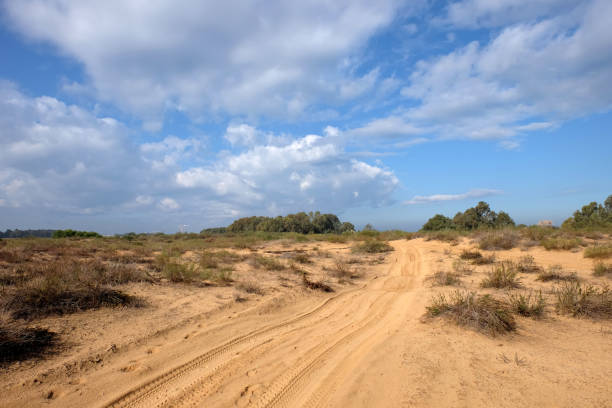 istock Spring rural landscape in Israel. 959220754