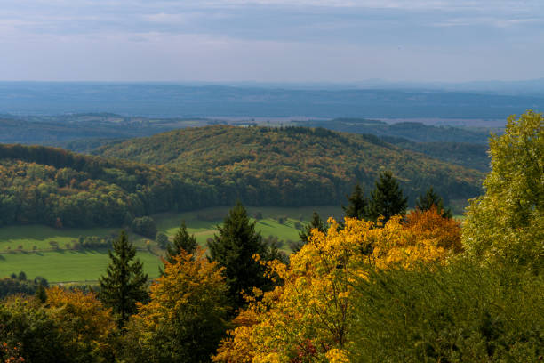 istock Black forest region in Germany 959223678