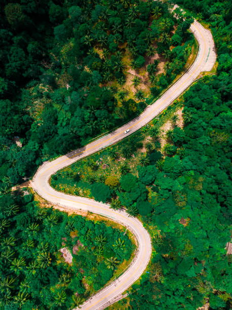 view of the zig zag road in the jungle view from the drone stock photo