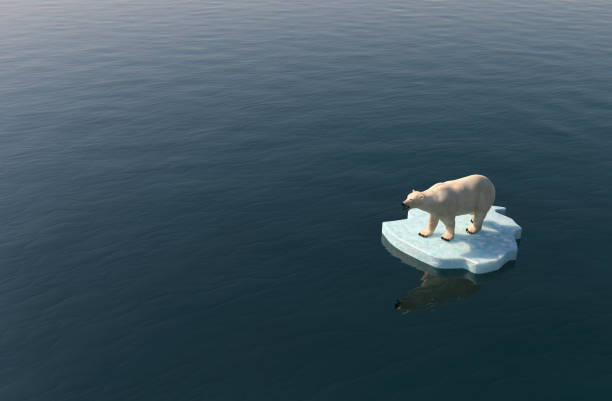 orso polare su un piccolo iceberg - polar bear arctic global warming ice foto e immagini stock