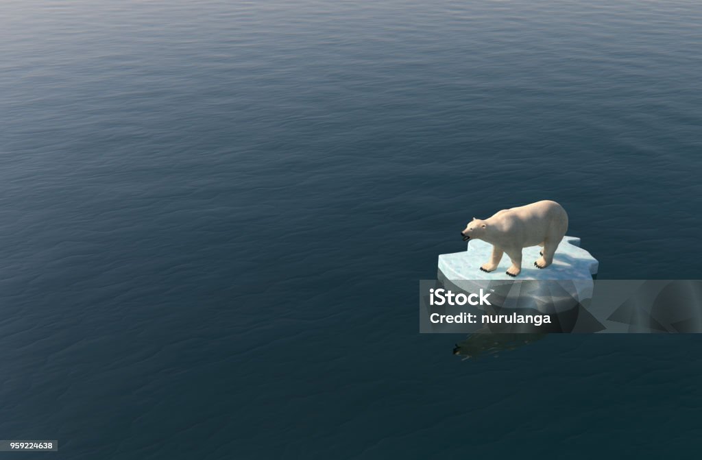 Polar bear on a little iceberg Polar Bear Stock Photo