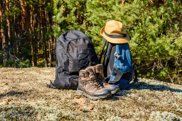 istock Two backpacks, touristic boots and hat on a ground in a coniferous forest 959227336