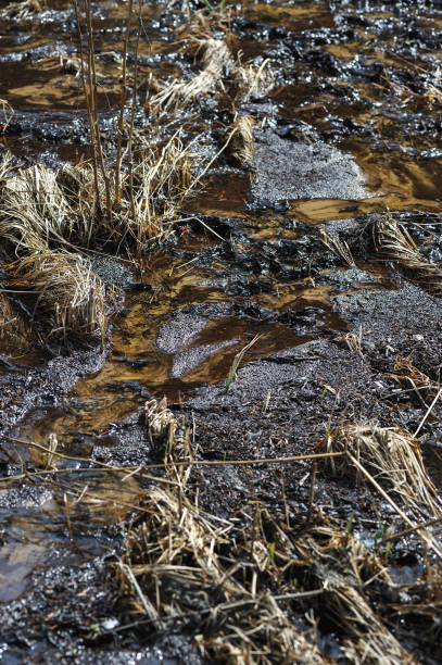 istock The drying up of the water flow. 959229718