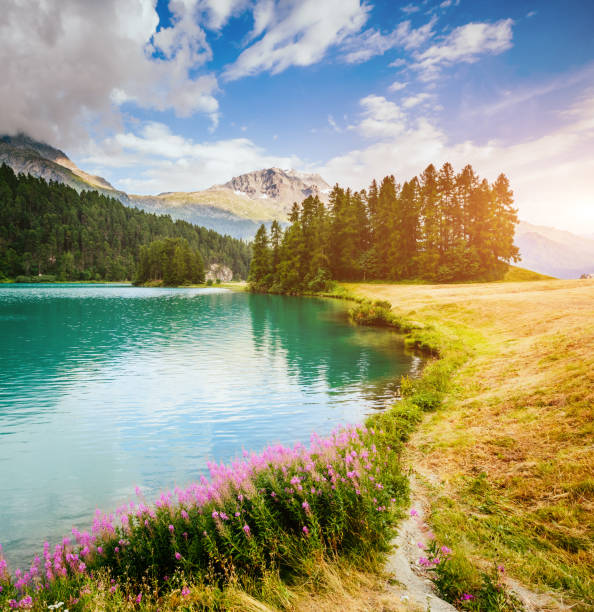 tolle aussicht auf den azurblauen teich champfèr im alpental. lage schweizer alpen, silvaplana-dorf - champfer stock-fotos und bilder