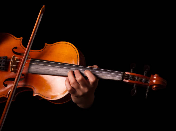 istock Stringed musical instrument, violin in performer's hands, isolated on black 959238844