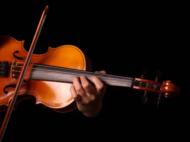 Stringed musical instrument, violin in performer's hands, isolated on black background