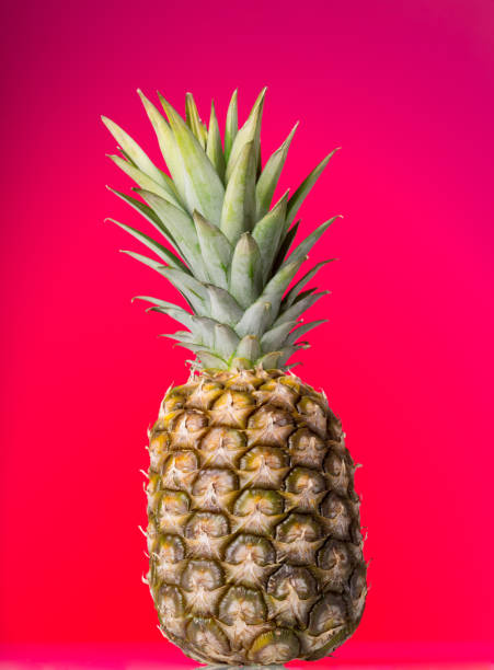 istock Large pineapple with peel, and stem with leaves on pink background 959241310