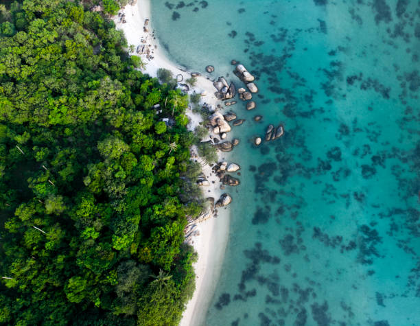 vista aérea da paisagem com floresta tropical perto da praia rochosa e mar turquesa - hawaii islands beach landscape usa - fotografias e filmes do acervo