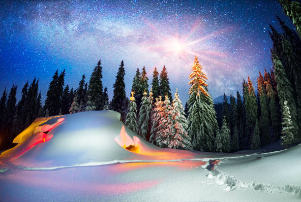 istock Christmas House in the Carpathians 959250492