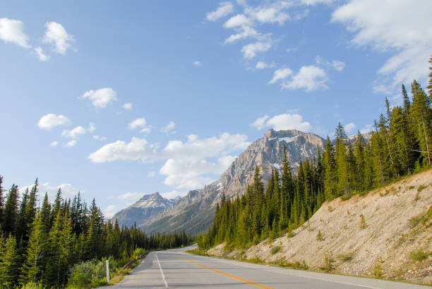 istock Icefields Parkway in the Spring, Canadian Rockies, Alberta, Canada 959252600