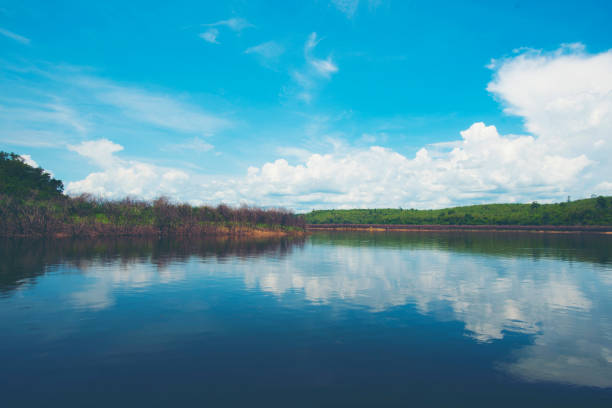 istock part of water lake, tropical natural field 959256708