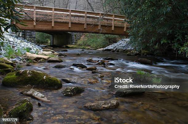 Ponte Sul Creek Carolina Del Nord - Fotografie stock e altre immagini di Ambientazione esterna - Ambientazione esterna, Ambientazione tranquilla, Appalachia