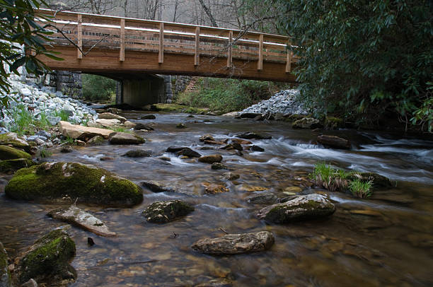 istock Bridge over Creek, North Carolina 95927779