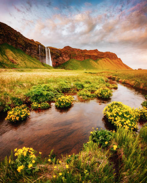 istock Location place famous Seljalandsfoss waterfall, Iceland, Europe. 959279544