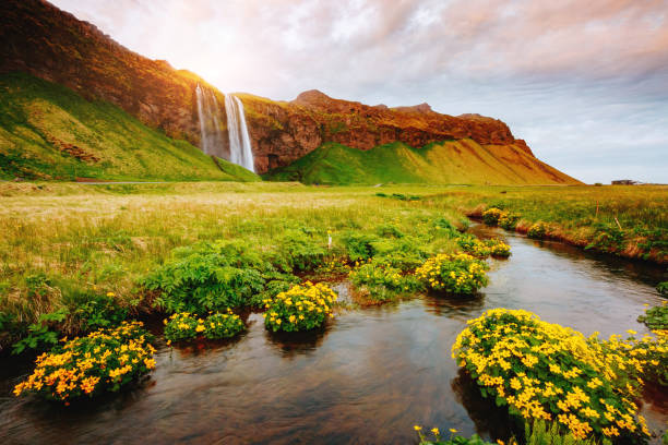 istock Location place famous Seljalandsfoss waterfall, Iceland, Europe. 959279562