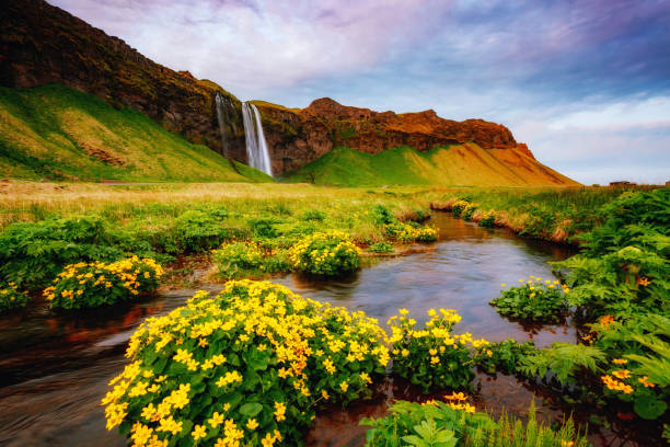 istock Location place famous Seljalandsfoss waterfall, Iceland, Europe. 959279676