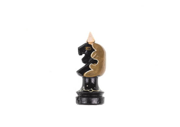 chess horse on white background