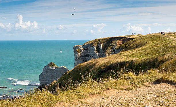 istock Rocky Beach in Normandy, France 95928551