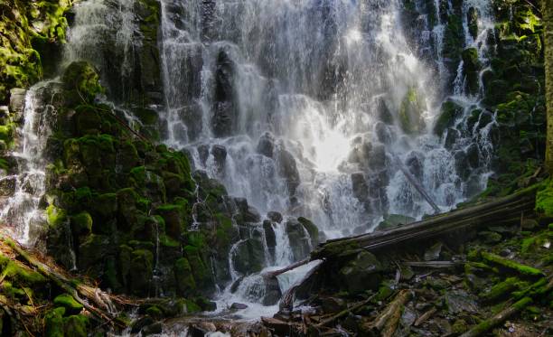 istock Mt. Hood Crystal Creek 959286766