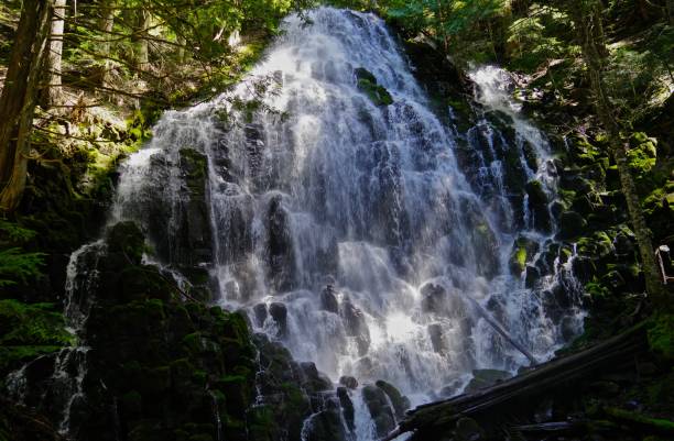 ramona falls sublime - mt hood national park stock-fotos und bilder