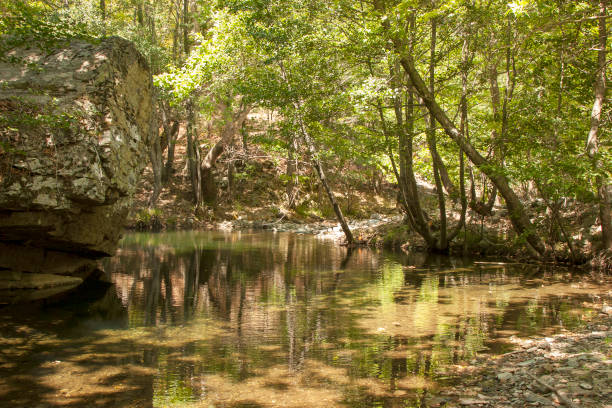 istock Stream in Ida Mountain, Turkey. Beautiful nature. 959289466