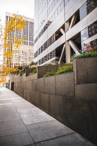 istock City Sidewalk With Autumn Trees 959293330