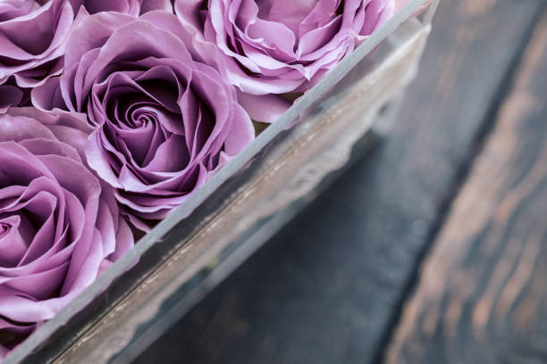 istock Pastel purple roses in clear acrylic box 959301194