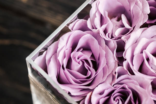 istock Pastel purple roses in clear acrylic box 959301242