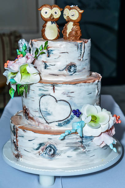 istock Owl cake with intricately detailed 959308876