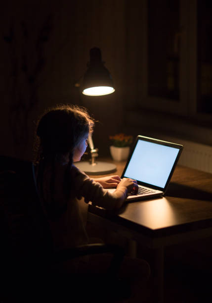 istock Cute little girl using laptop 959309572