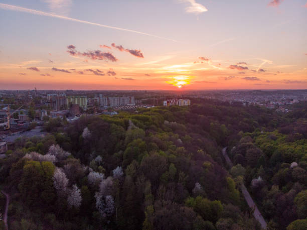 istock orange sunset above city. aerial view. tree crowns 959311952