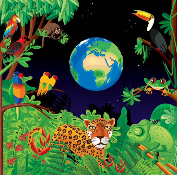 tropischer regenwald - chameleon africa rainforest leaf stock-grafiken, -clipart, -cartoons und -symbole