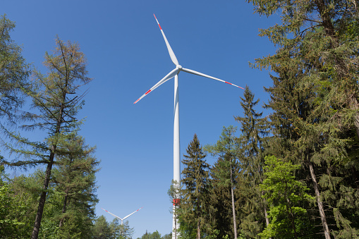 Pinwheel stands in the Black Forest between the trees