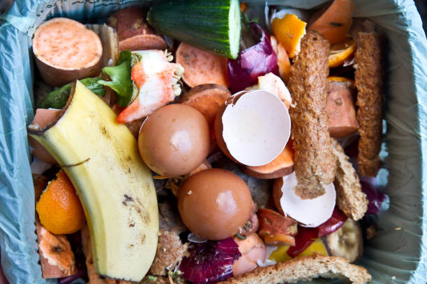 Recycle kitchen waste for garden compost. Kitchen waste for green compos stock photo