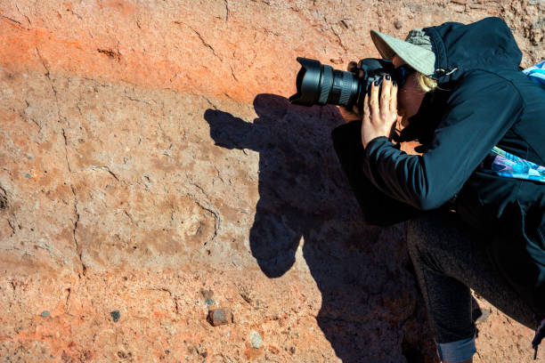 istock El Teide National Park Tenerife photographer Shadow,Spain 959324664